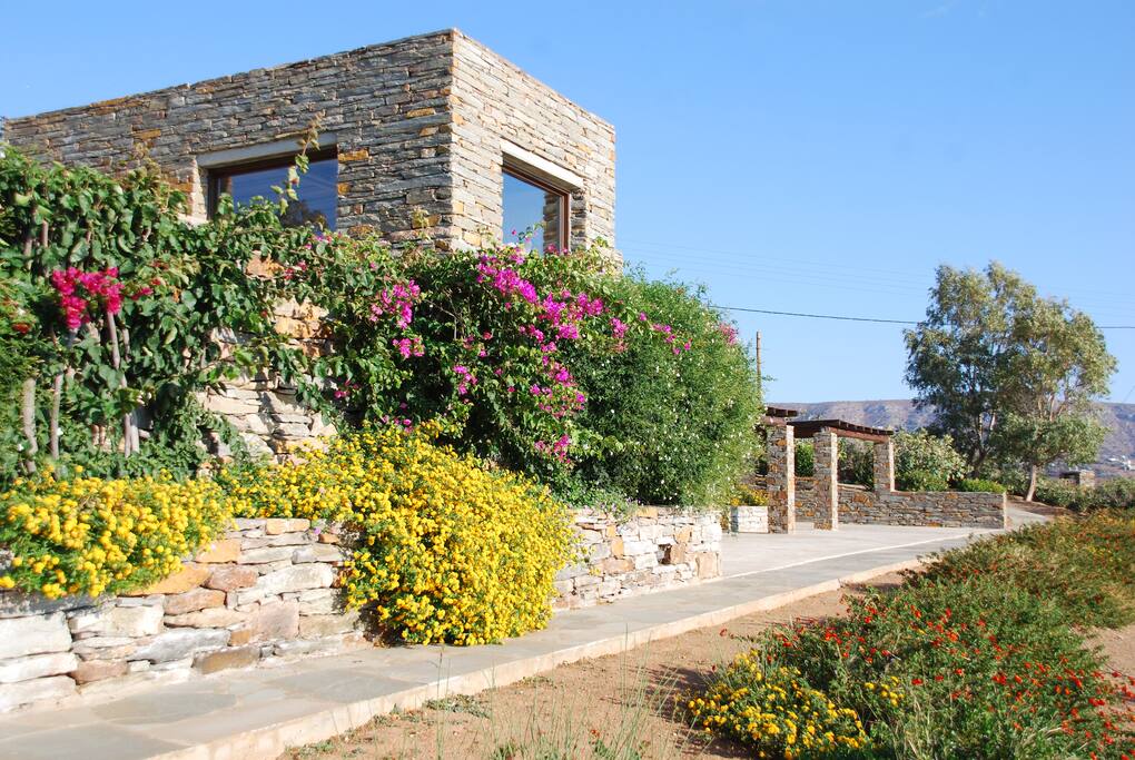 garden under the pool