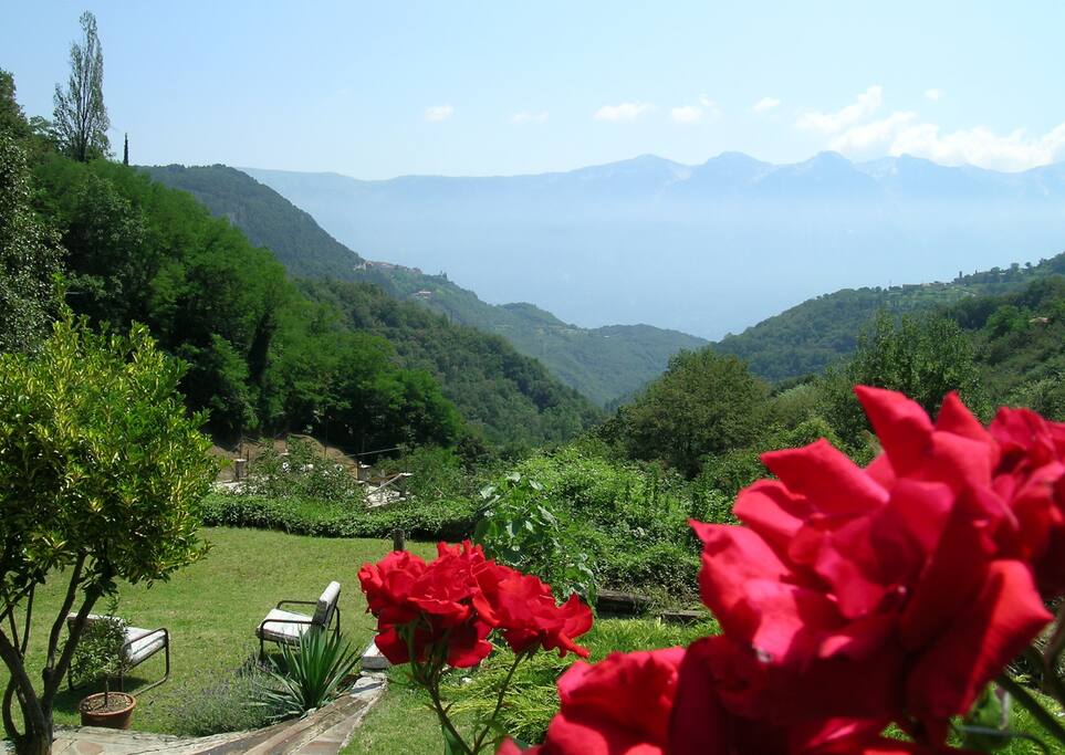 il giardino