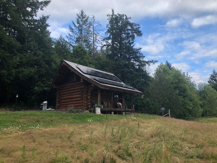 Cabin in The Wildwood