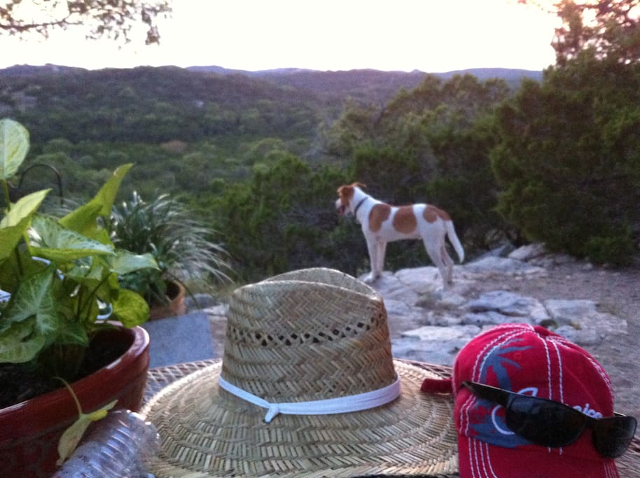 Ranger checks out the view and is our protector. He looks forward to meeting you, but we can keep him in backyard if you prefer.