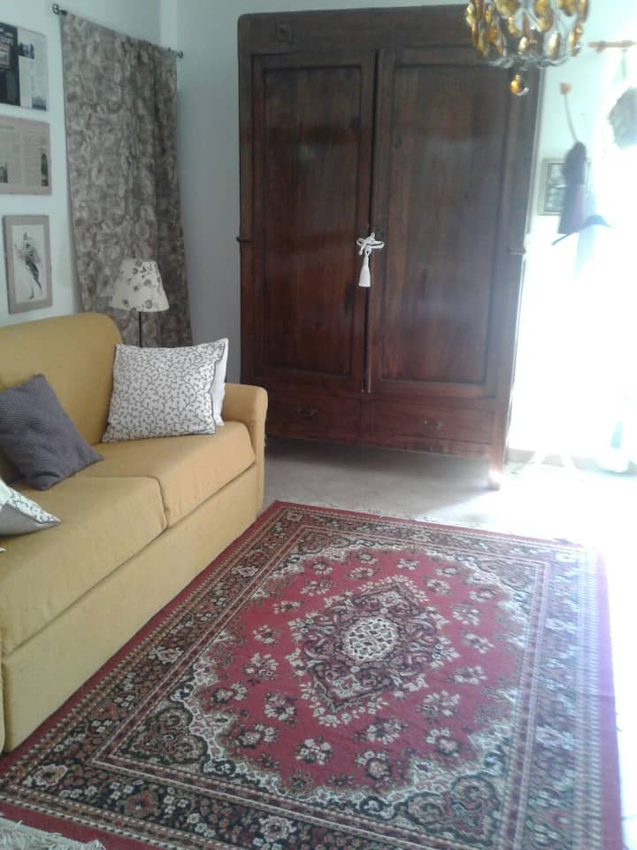 غرفة النوم /الدراسة بسرير أريكة مزدوج