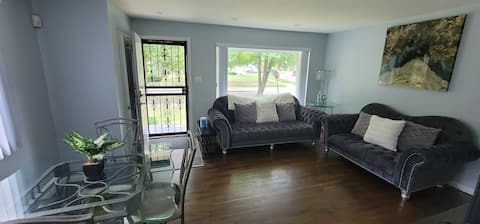 Modern Home in the Detroit Metropolitan Area