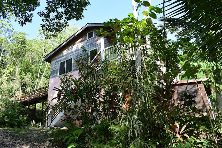 Airbnb San Antonio Vacation Rentals Places To Stay Cayo