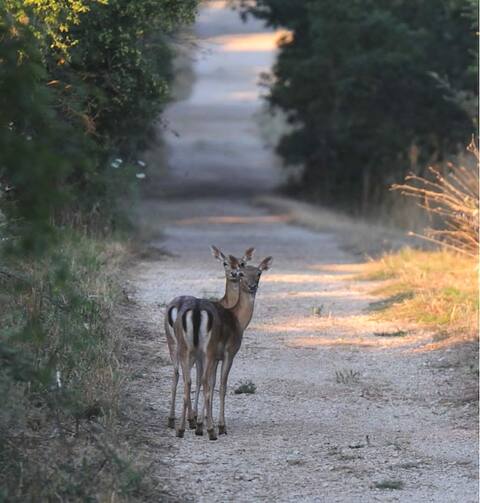 Borgo medievale vista Argentario