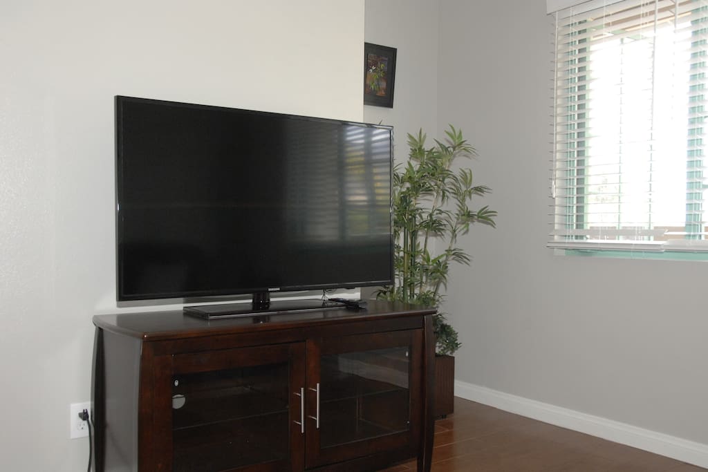 Flat screen TV in living room.