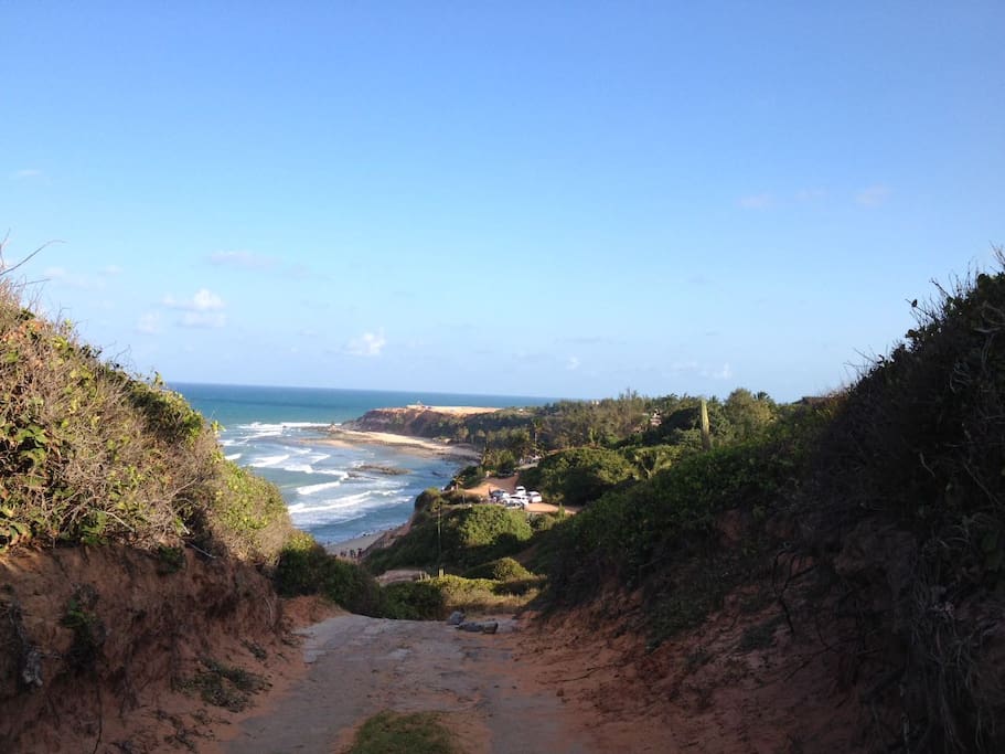 The road going to the house.