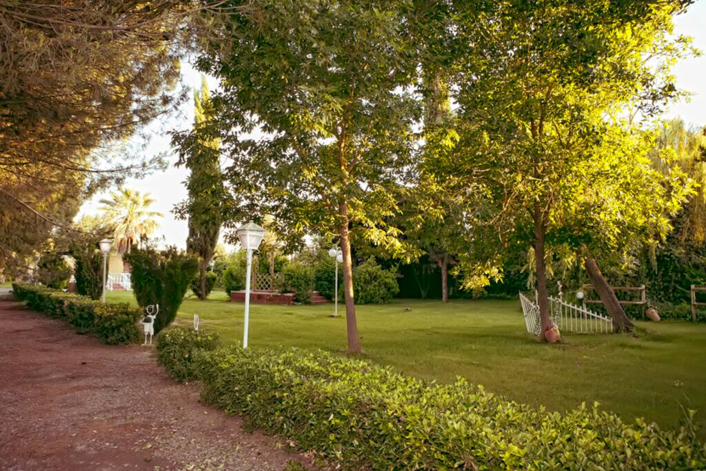 Jardín