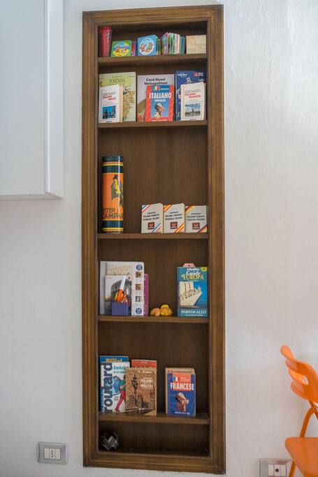 Tourist guides and dictionaries in all languages