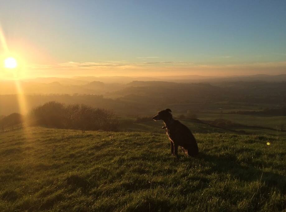 View from Eggerdon Hill - one of the nearby walks