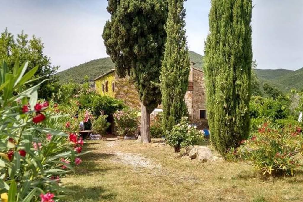 il giardino
