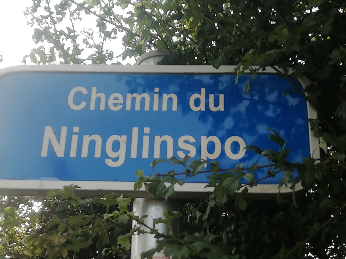 A blue street sign is visible, reading 'Chemin du Ninglinspo.' The sign is surrounded by green foliage, providing a natural frame. The background features soft, dappled light filtering through leaves, creating a serene outdoor setting.