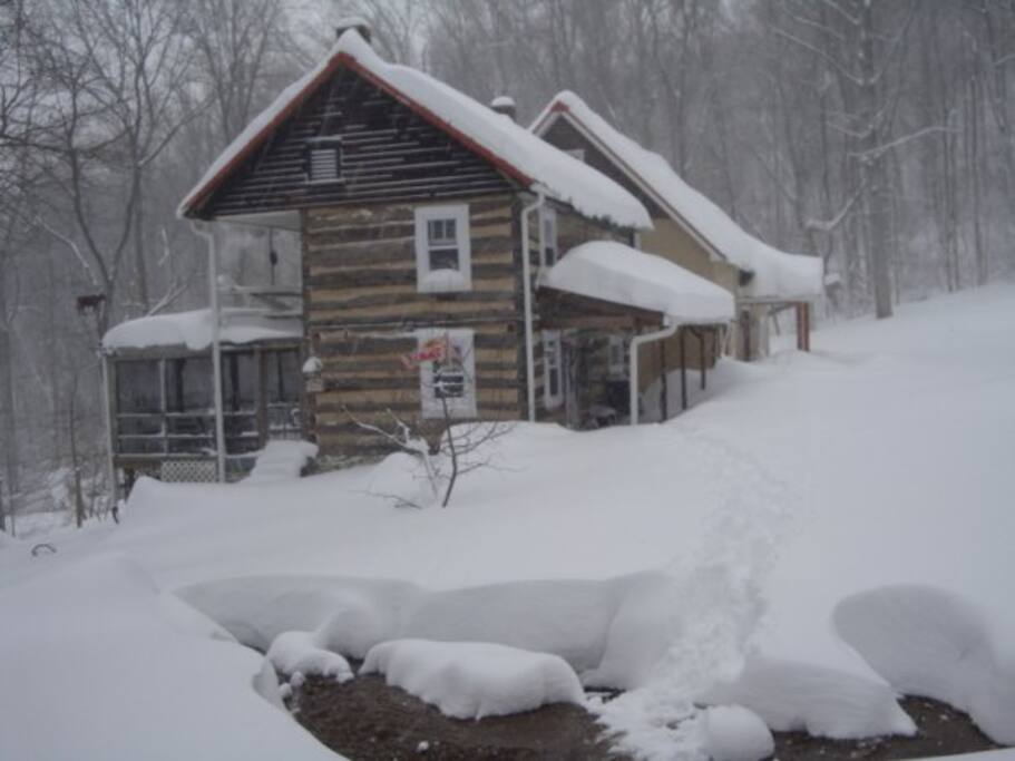 Winter