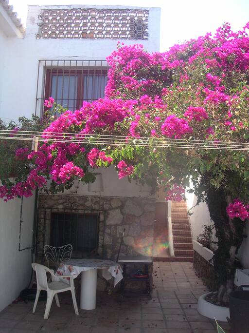 buganvilla sobre la terraza y entrada