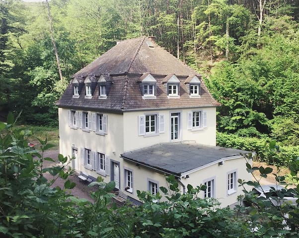 Privat sextreff nrw. Mayrhofen Hainfeld kontakt partnervermittlung. Zeitungsinserate was Rohrbach an der lafnitz private partnervermittlung. Singlespeed Euratsfeld reiche m nner kennenlernen, Mollige singles in thal
