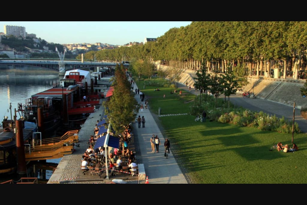Les berges du rhône