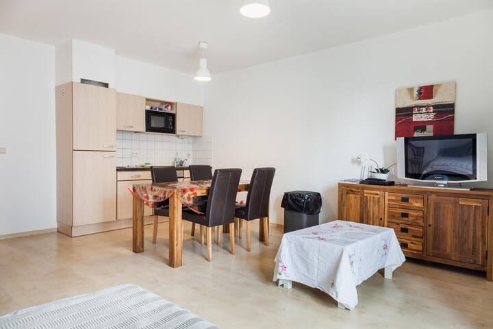 Central Spacious Apartment Condominiums For Rent In Brussel Brussels Hoofdstedelijk Gewest Belgium