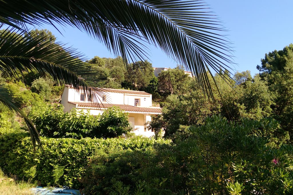 La villa émerge de la nature