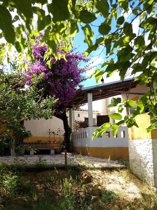 Sunny breakfasts, relaxing afternoons in the shade.