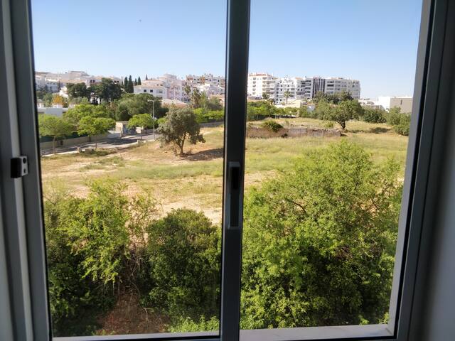 Get Quarto na praia em praia mrytle Desktop Wallpaper Quarto Na Praia Em Praia Mrytle