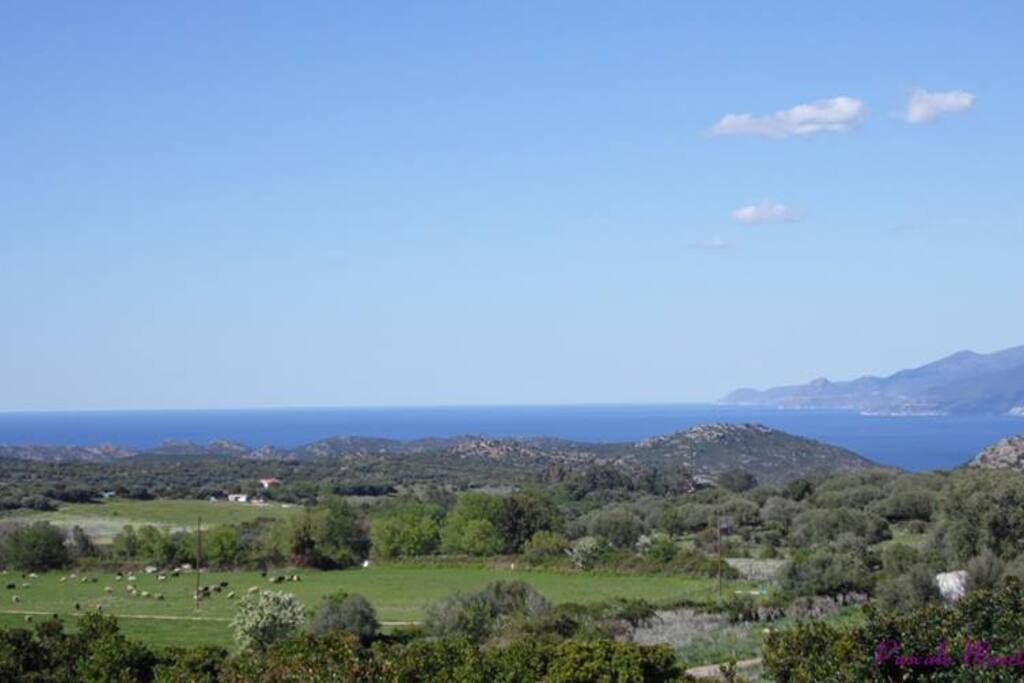 Vue mer et Cap Corse