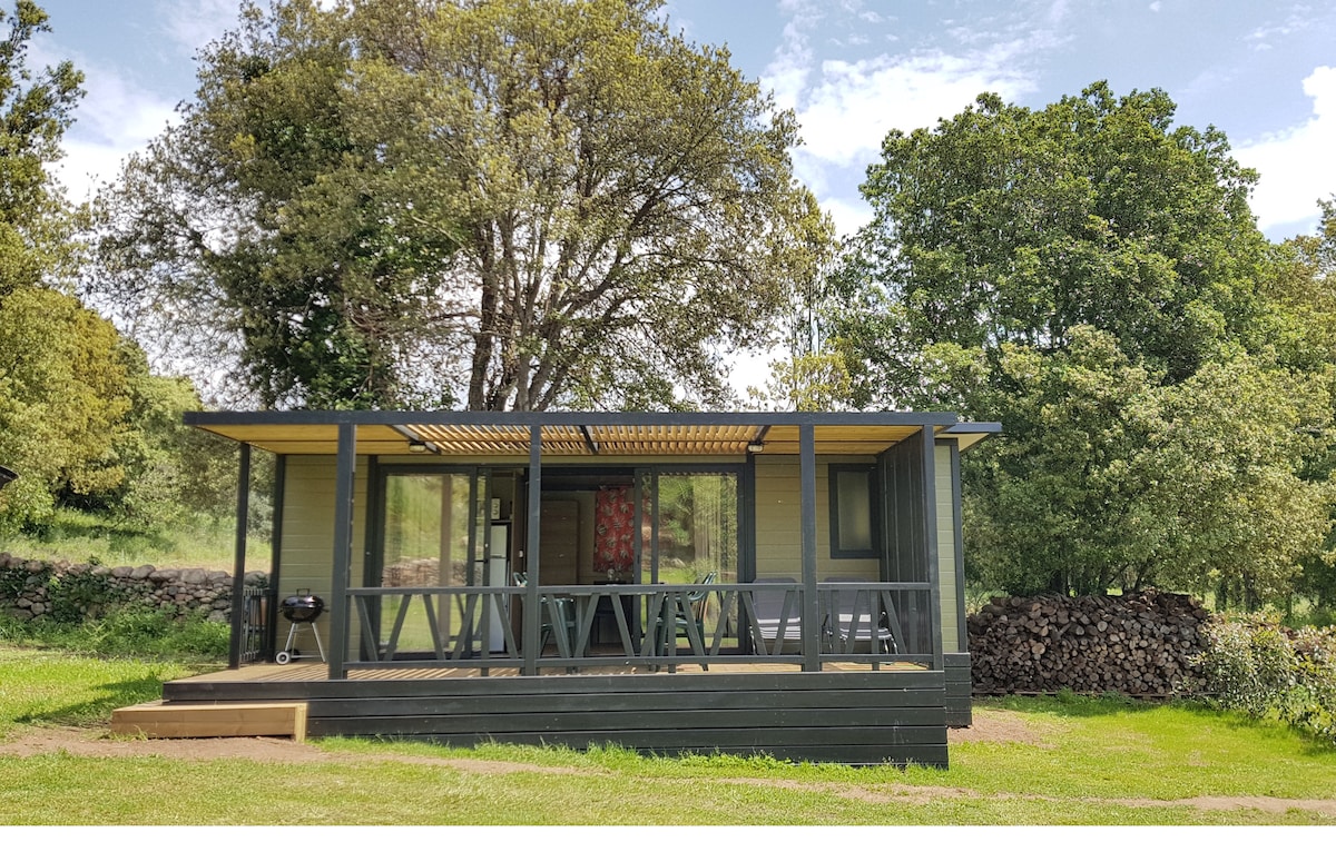 A modern bungalow is featured on a spacious grassy plot, surrounded by lush greenery. A wooden deck holds a dining area with a pergola overhead, while a barbecue grill is positioned nearby. Tall trees stand in the background, providing a serene backdrop.