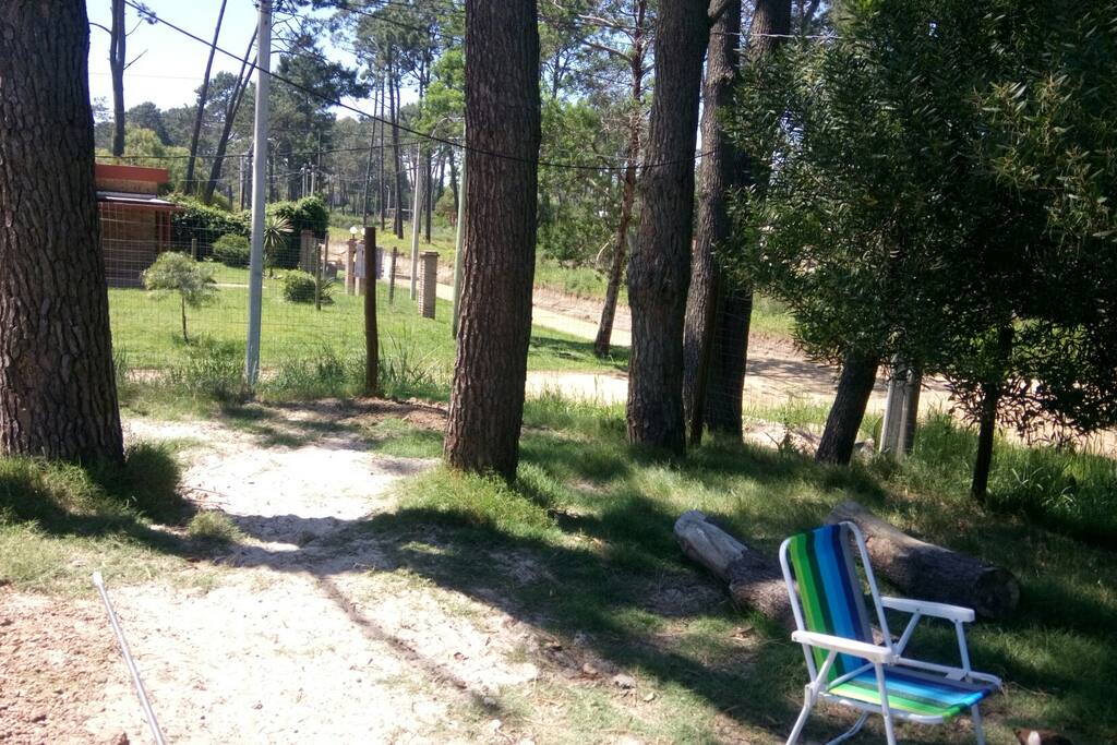 jardín