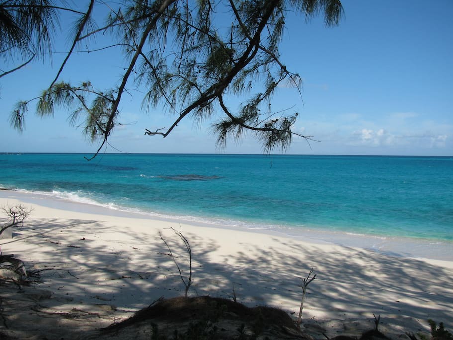 More North Beach
