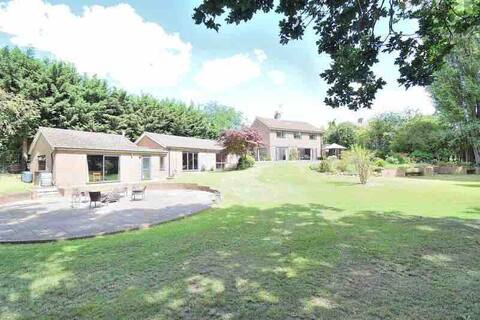Captivating House