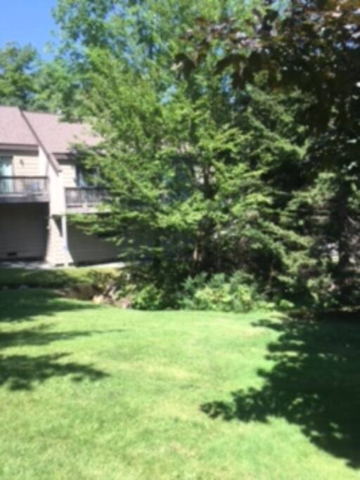 Gorgeous condo association, with excellent grounds!