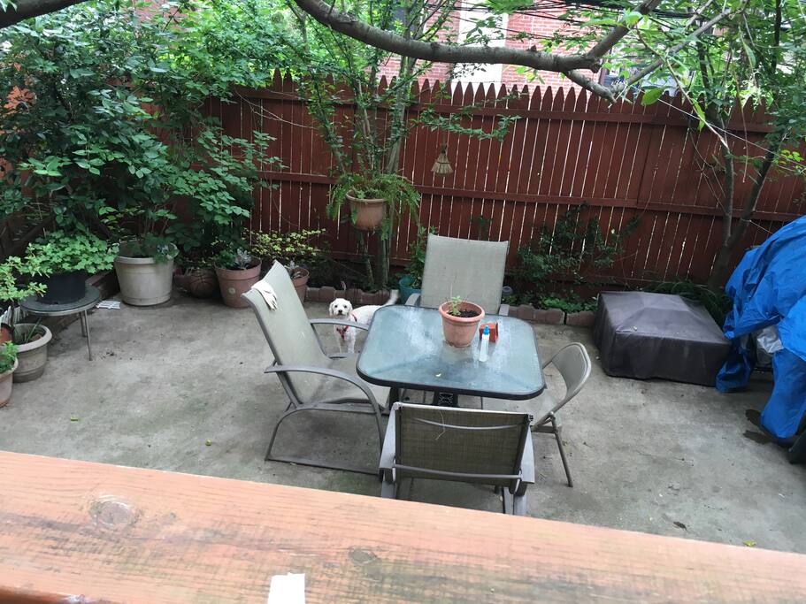 Backyard