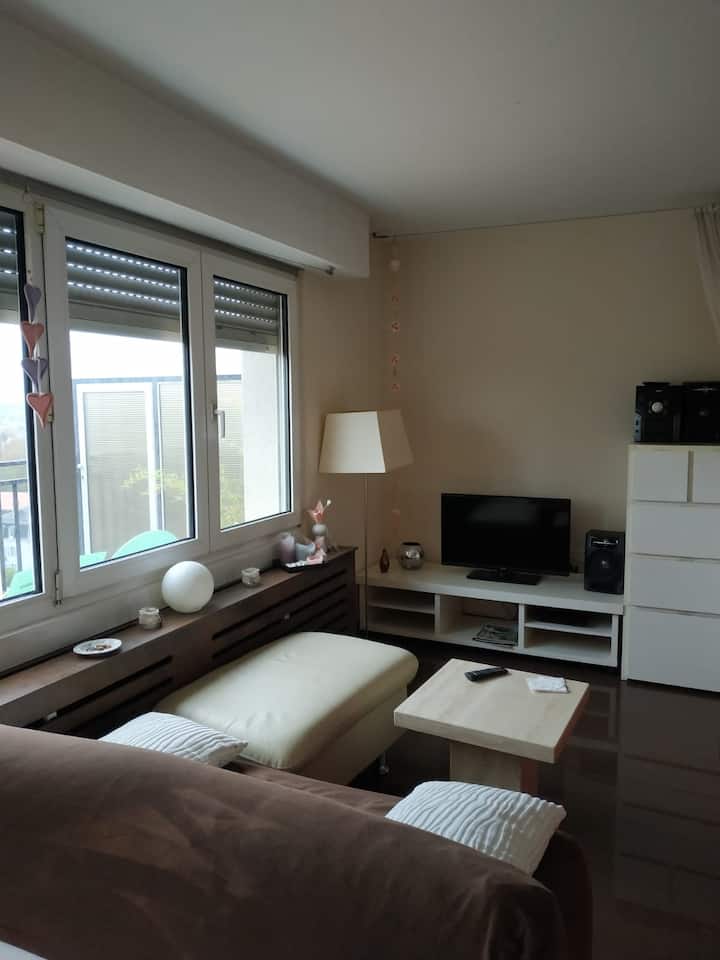 Bel Appartement Centre-ville Avec Vue Imprenable - Mulhouse