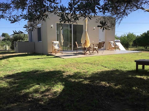 Top performing Airbnb: Oikia Ampavris in Περιφερειακή Ενότητα Κω