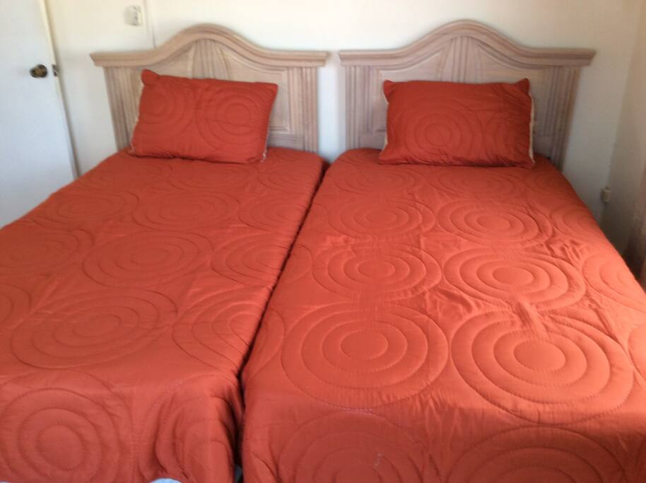 Twin beds in a bedroom with two large windows.