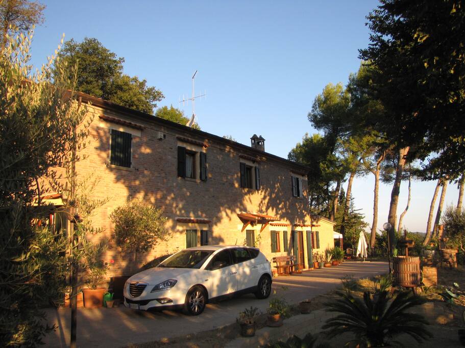 The house