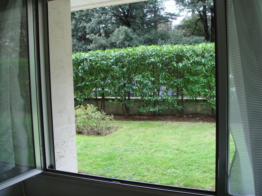 vue jardin