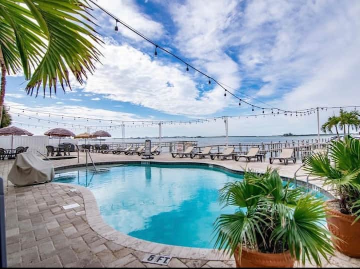 Honeymoon Island Vacation Rentals & Homes Dunedin, FL Airbnb