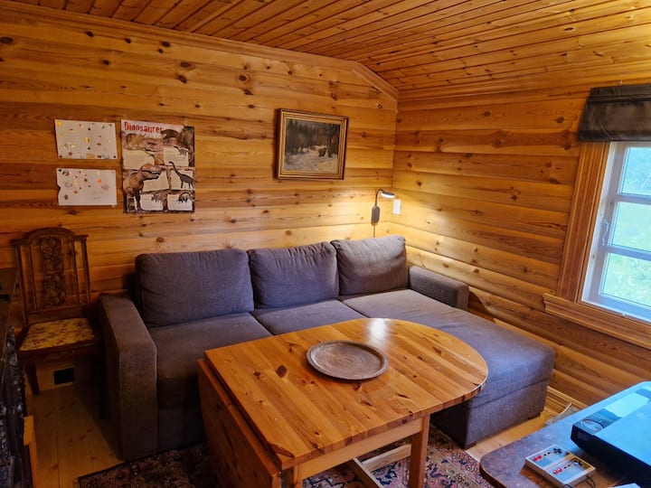 40 tommers TV med Blu-ray, Nintendo retro-spillkonsoll og Google TV i dette rommet. Sovesofa, 140x200 cm