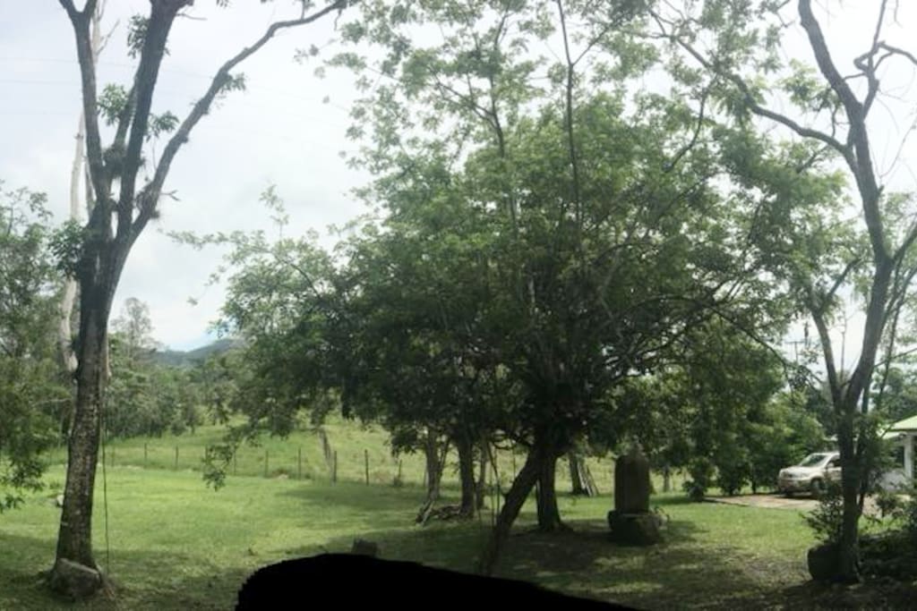 A mano izquierda se ve la pancarta con la imagen de un toro