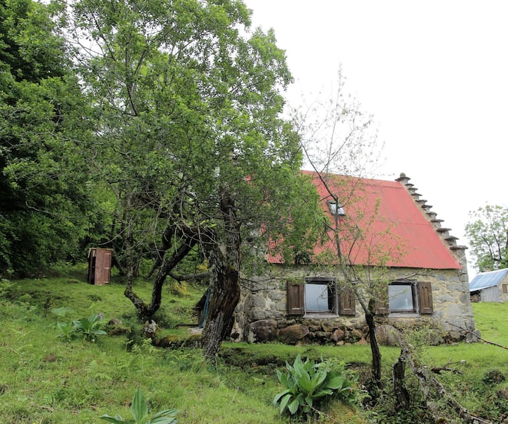 the little house lost in the mountains