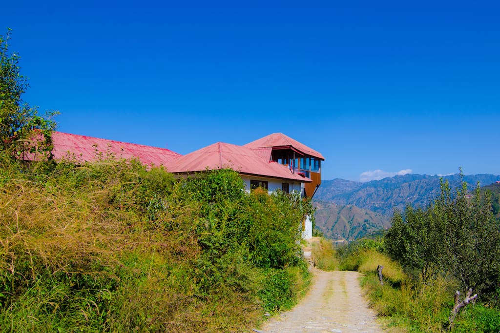 A narrow road that transports you to a heavenly world