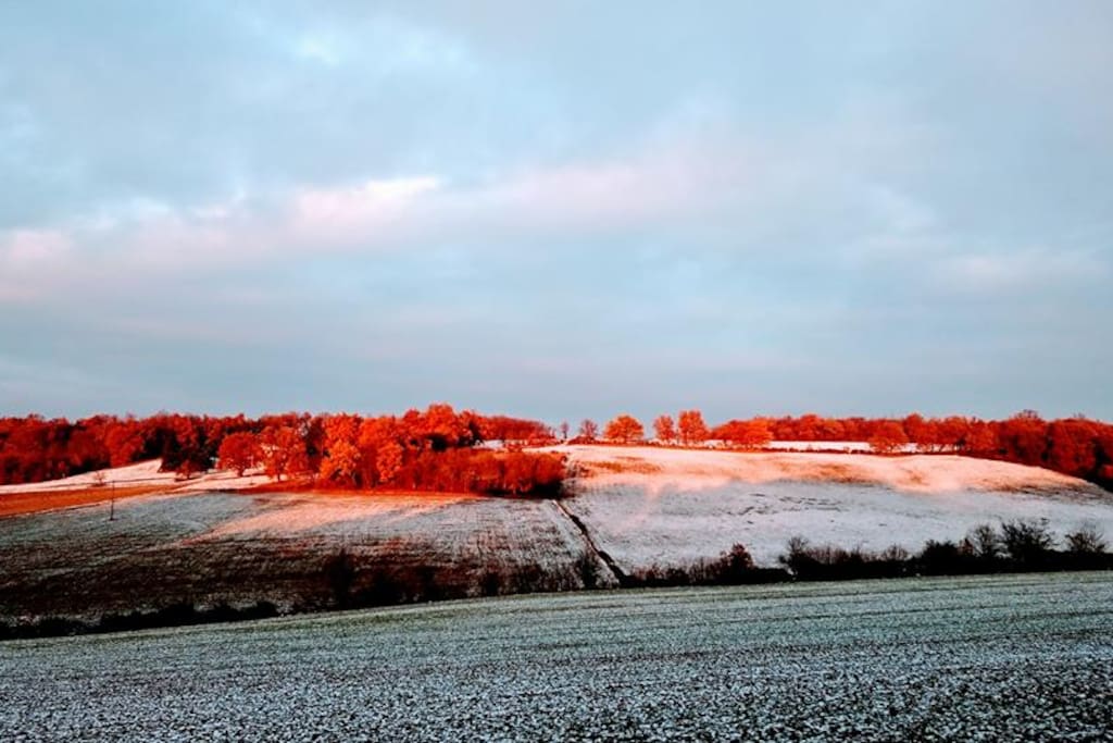 No swimming pool in winter, but beautiful vineyard landscapes
