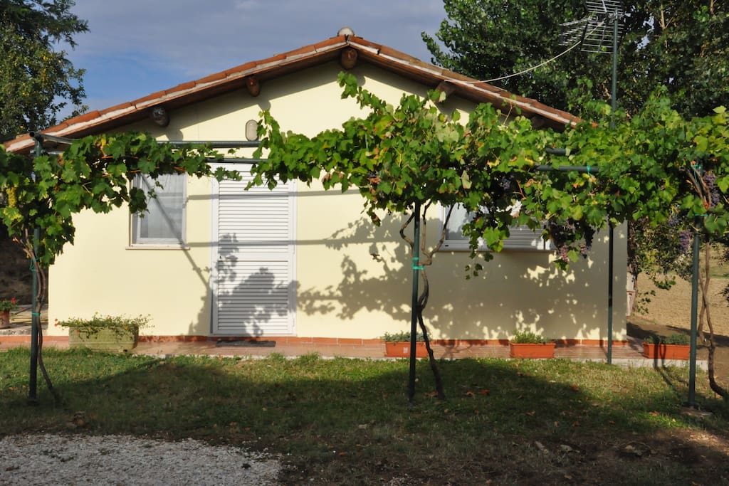 Il giardino