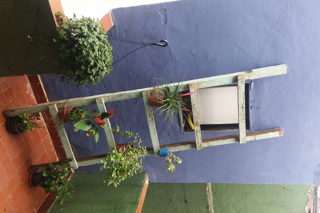 Um cantinho verde...