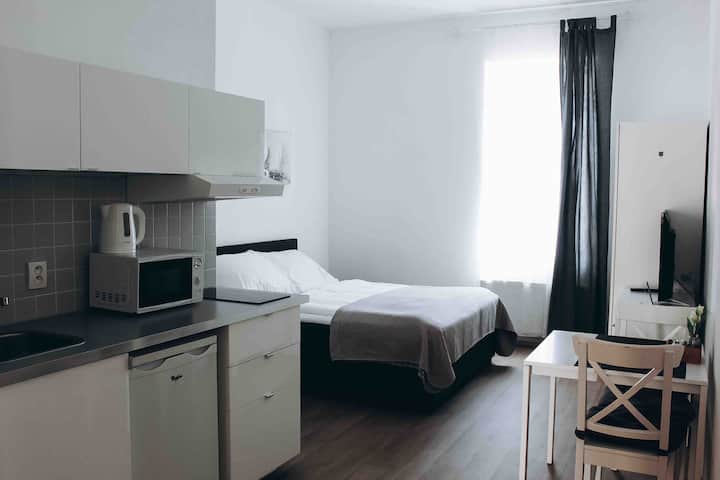 Comfortable Apartment 38 Soukenicka - Prague