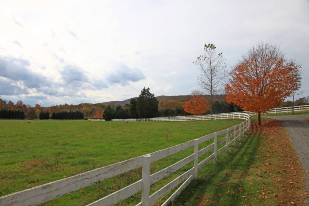 View of driveway going out to road, way to the left and out of view