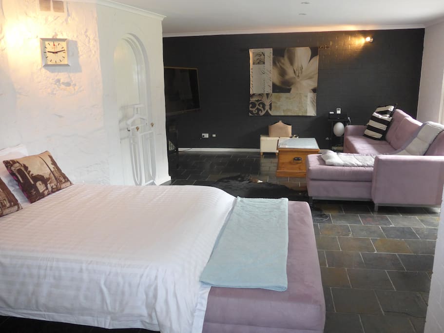 Studio, queen bed, living area and large TV