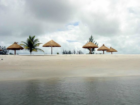 A serene beach scene showcases several thatched-roof gazebos set upon a sandy shore. Lush palm trees gently sway nearby, while calming waves reflect the soft clouds above, creating a tranquil atmosphere. The landscape emphasizes a secluded and natural environment.