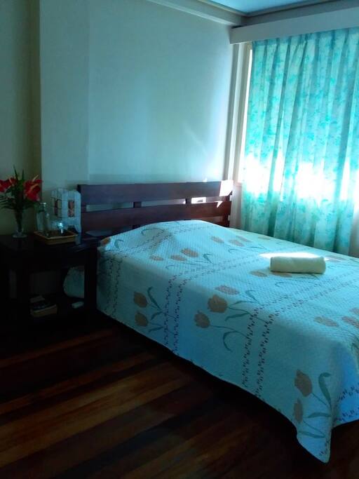Emerald Room- good for 1 person, maximum of 2 people with extra mattress