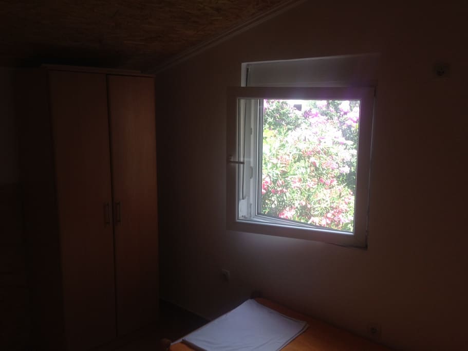 Bedroom window