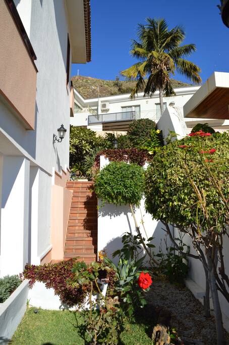 Access to apartment through garden.
